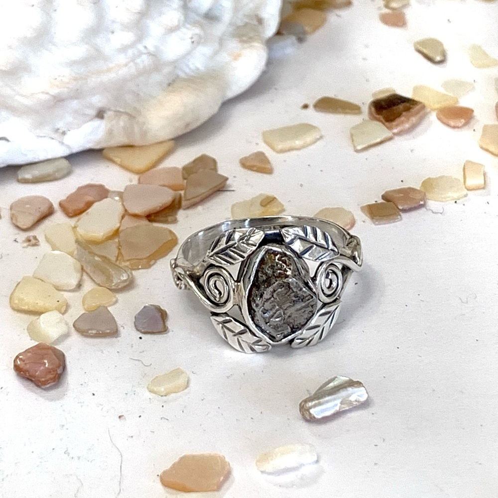 Extraordinary Campo Del Cielo Meteorite Sterling Silver Ring - Picture 4 of 5
